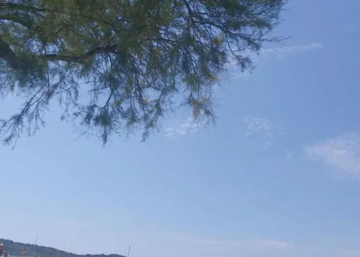 Modern Beachfront Near Ibenik - Classic With Balcony And Sea View Apartment Srima